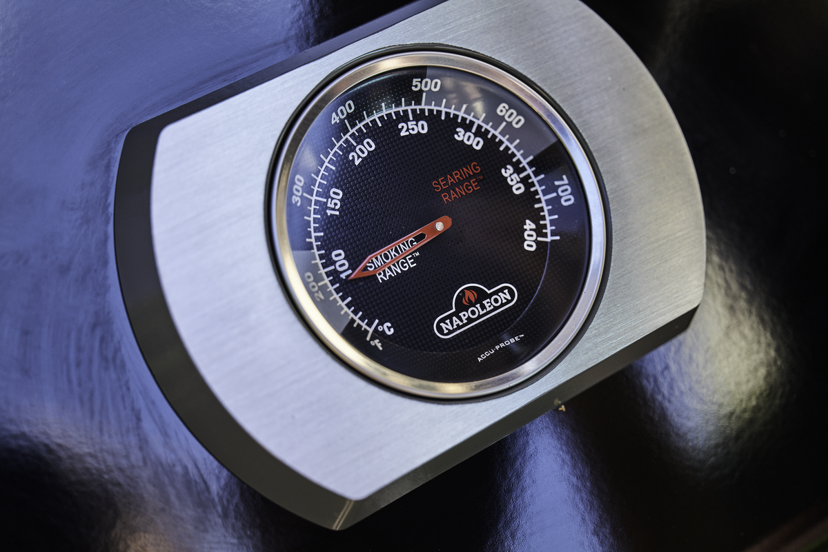 Duży i czytelny Termometr Accu-Probe