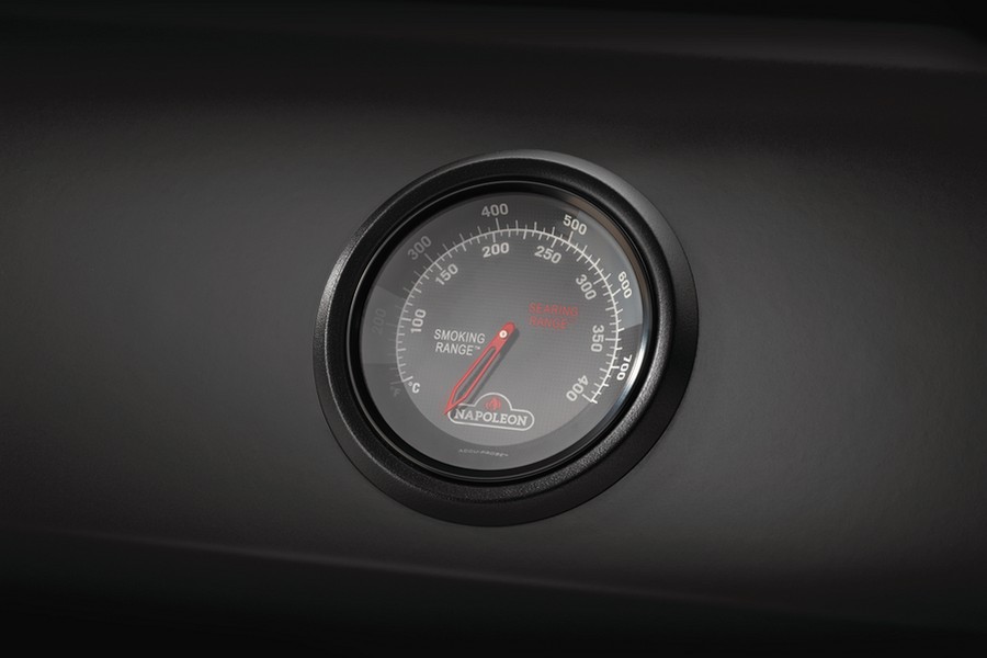 Precyzyjny termometr Accu Probe