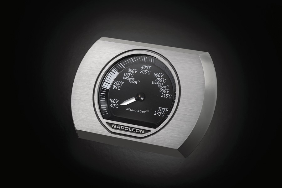 Precyzyjny termometr Accu Probe