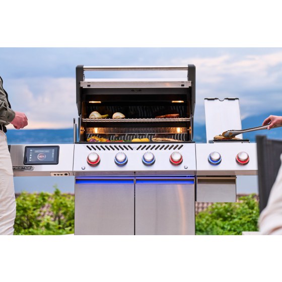 Napoleon Prestige PRO 500 Smart