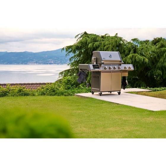 Napoleon Prestige PRO 500 Smart