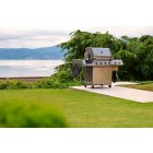 Napoleon Prestige PRO 500 Smart