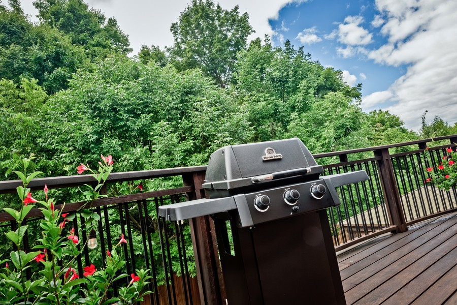 Seria Broil King Gem